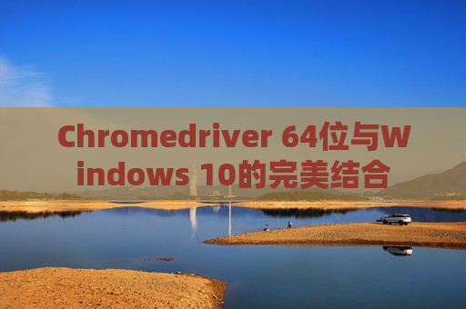 Chromedriver 64位与Windows 10的完美结合